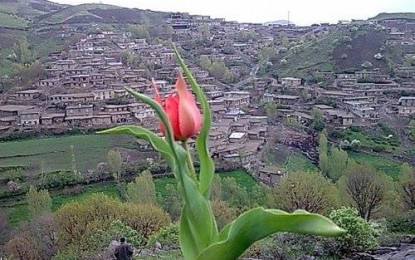 خودکشی لاله‌های کوهی/ آذر طاهرآبادی